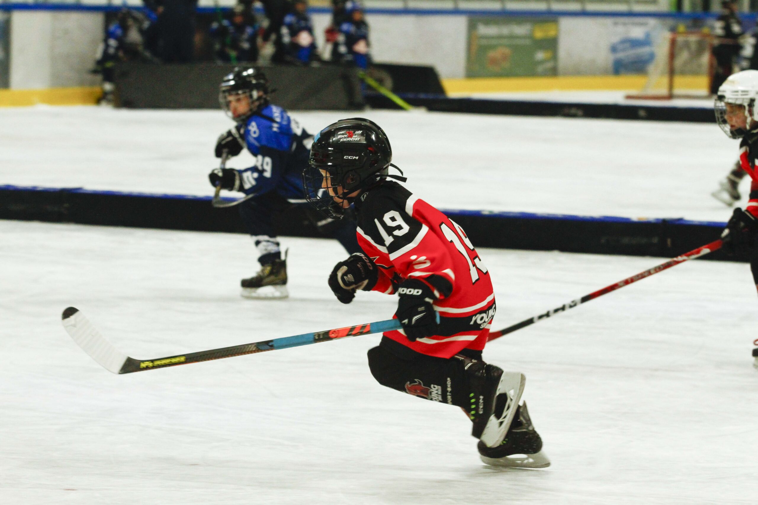 U9 LK2 Dresden033